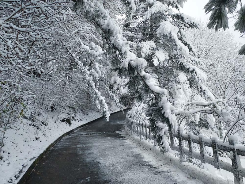 횡성산울림오토캠핑장 시설 사진 18