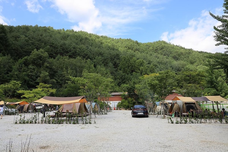 봉화솔향가득서울캠핑장 시설 사진 29