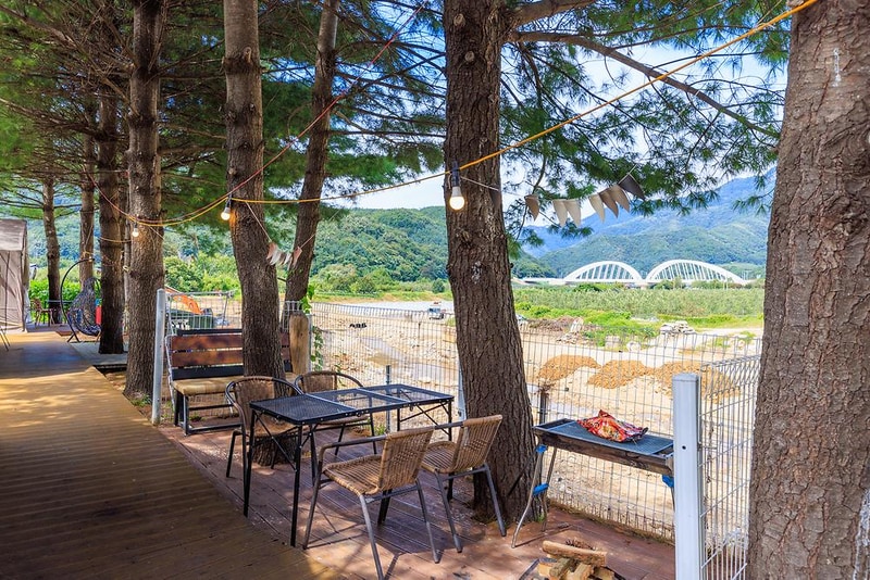 젠틀펫 파라다이스 시설 사진 14