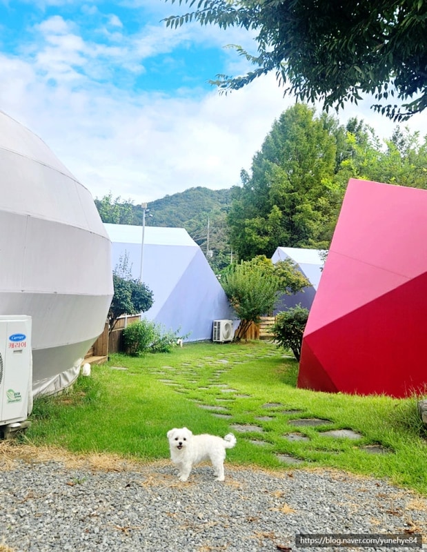 홍천글램핑 애견동반 바누글램핑 시설부터 서울근교라 더 좋아