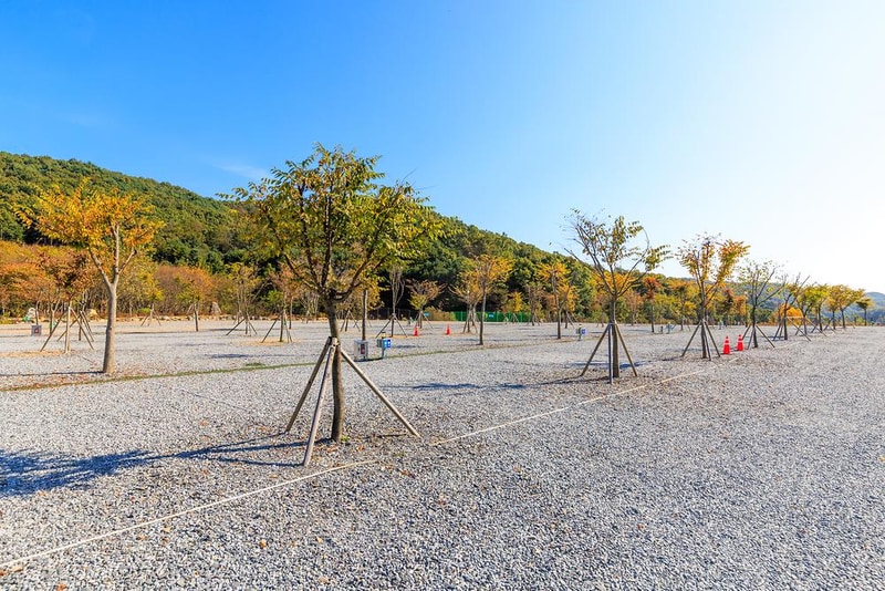 노리터 키즈 캠핑장 시설 사진 17