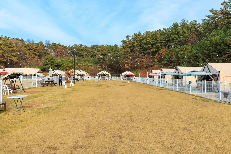 멍글멍글 펫글램핑 시설 사진 18