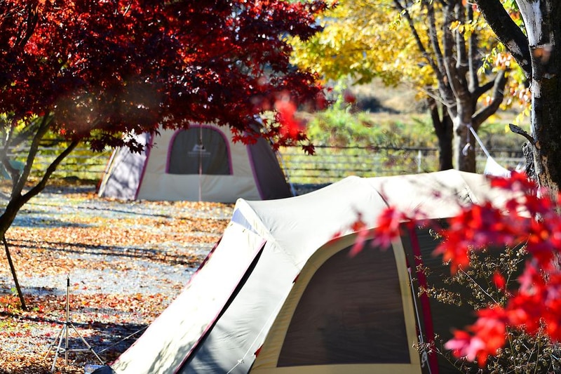 별빛오토캠핑장 시설 사진 7