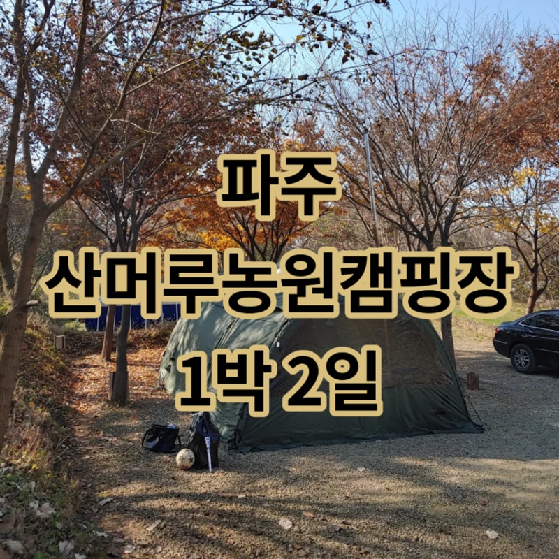산머루농원캠핑장 리뷰｜파주 아이와 가기 좋은 체험캠핑 BEST