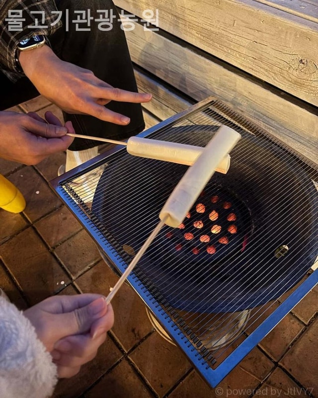 [김포/캠핑장/글램핑] 물고기관광농원 아이들이 뛰놀며 웃음...