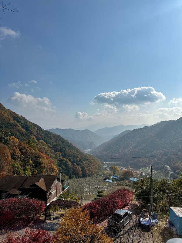 캠핑⛺️ 충주 재오개 캠핑장 E존 명당 2박 후기