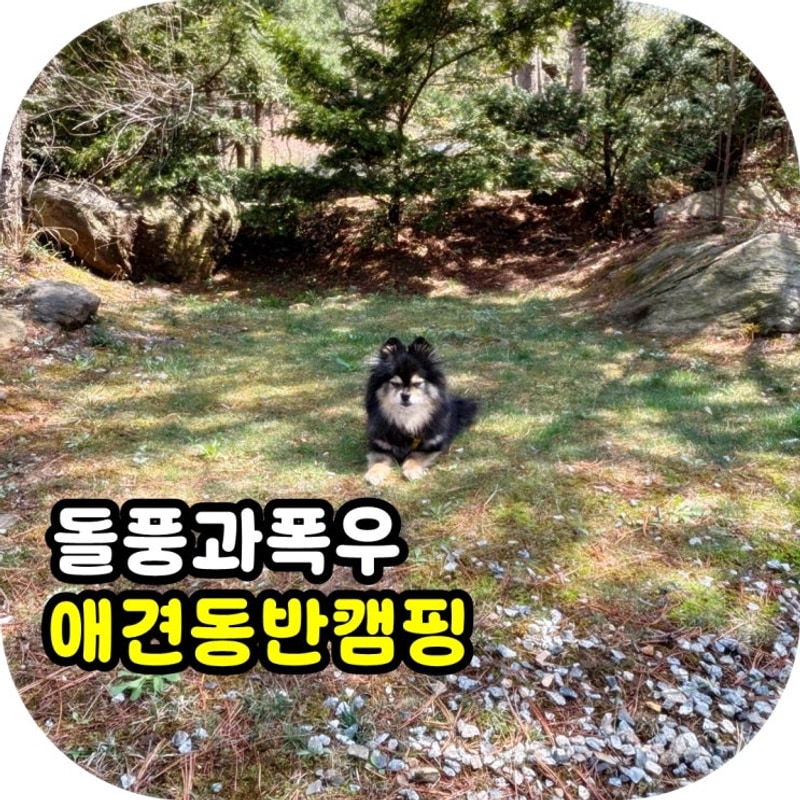 2박3일 포천캠핑마을_천둥번개, 똥바람, 폭우까지