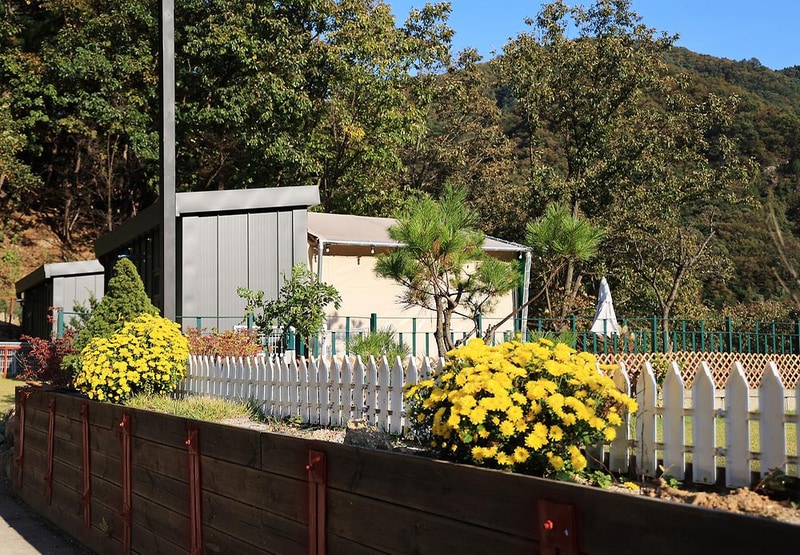 캠프위드펫&애견글램핑 시설 사진 10