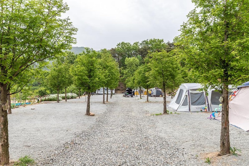 수덕 캠핑장 시설 사진 14