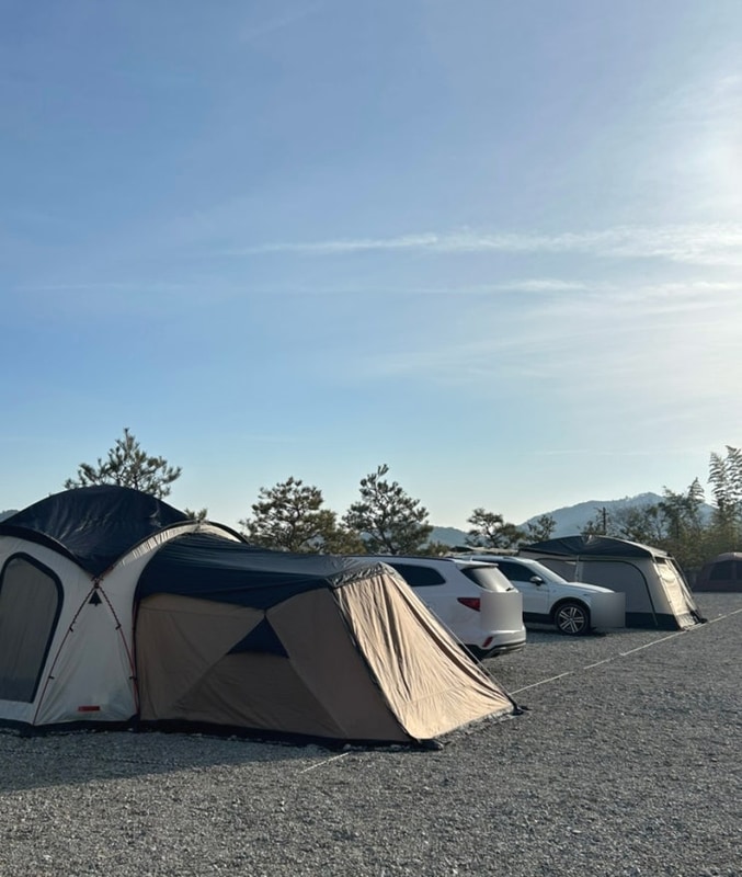 전남 오토캠핑장 '디캠 고흥' 역대급 시설과 야경 맛집 캠핑장