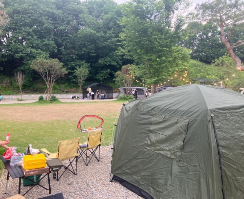 여주 캠핑장 애견동반가능 키즈 프랜들리 캠핑 그린바움캠핑장
