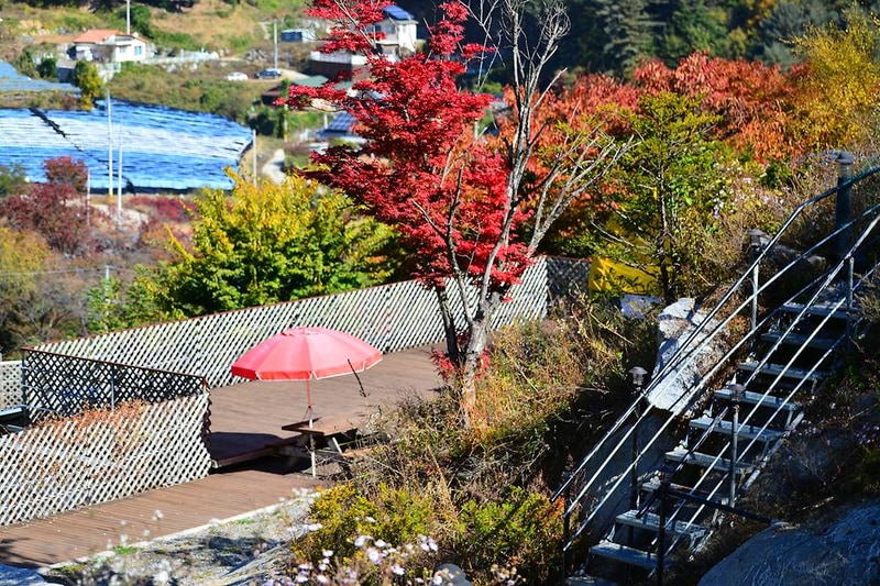 가평 사과나무 캠핑장 시설 사진 17