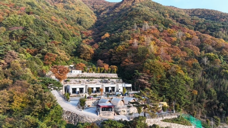 경남 글램핑장 추천 / 사계절이 아름다운 캠핑장 밀양 '캠핑도래'