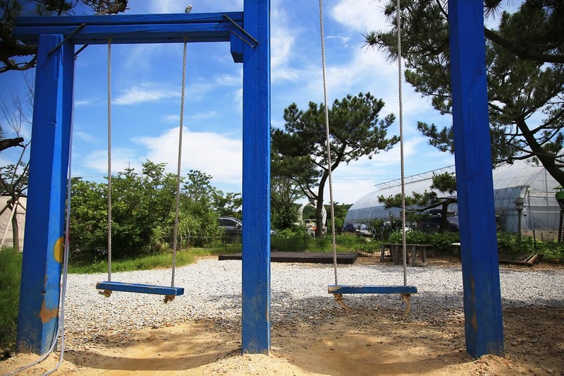 강화고인돌 캠핑장 시설 사진 27