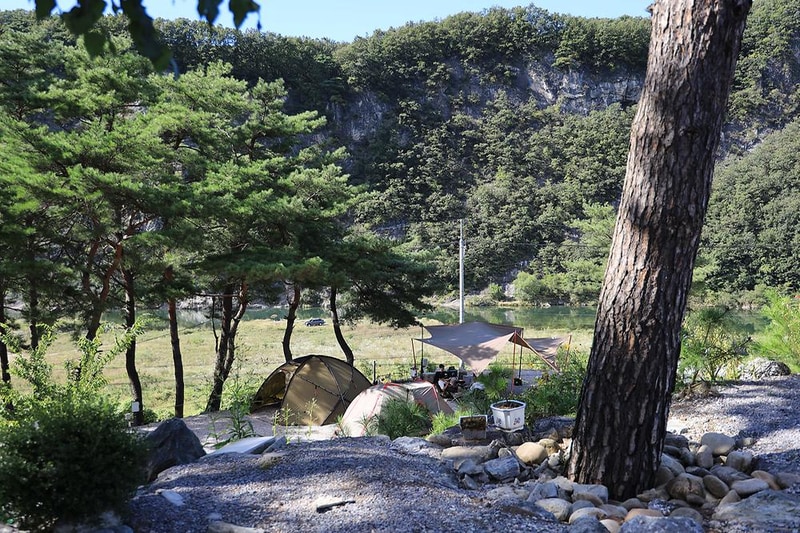 영월한반도캠핑장 시설 사진 2