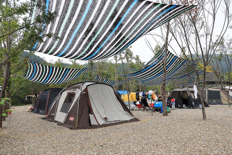 메타피아 오래캠핑장 & 카라반 시설 사진 19