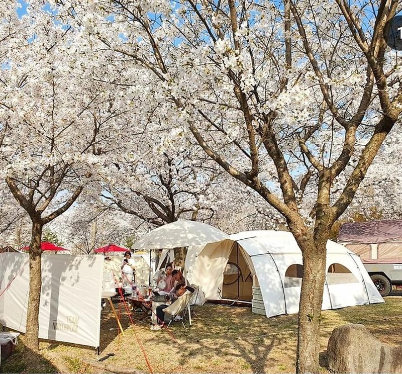 드림랜드오토캠핑장 대표 사진