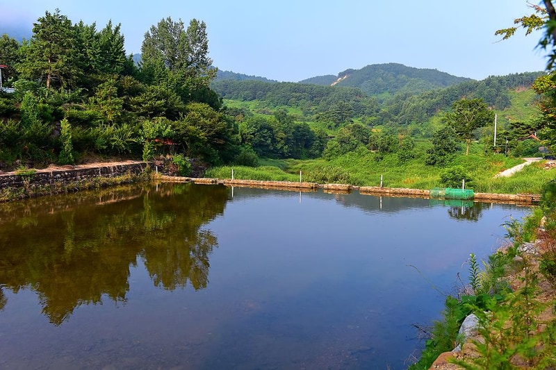 무주 솔밭야영장 시설 사진 15