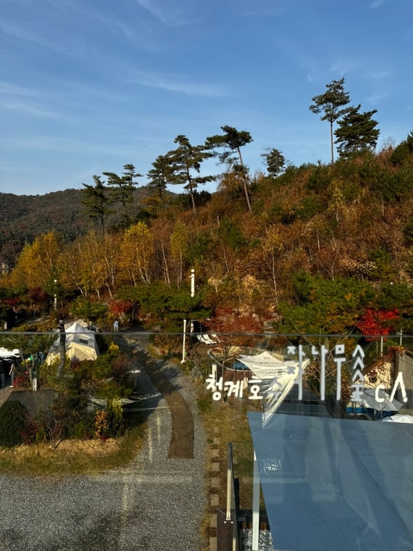 포천캠핑장 • 청계호수 자작나무 숲 캠핑장 • 스파카라반...