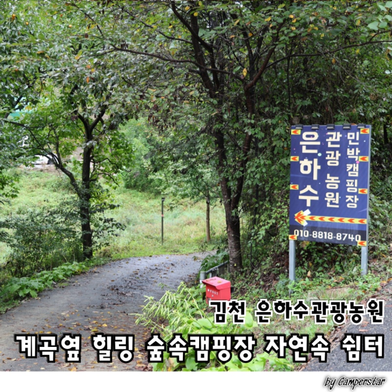 김천 은하수관광농원 계곡 옆 힐링 숲속캠핑장 자연속 쉼터