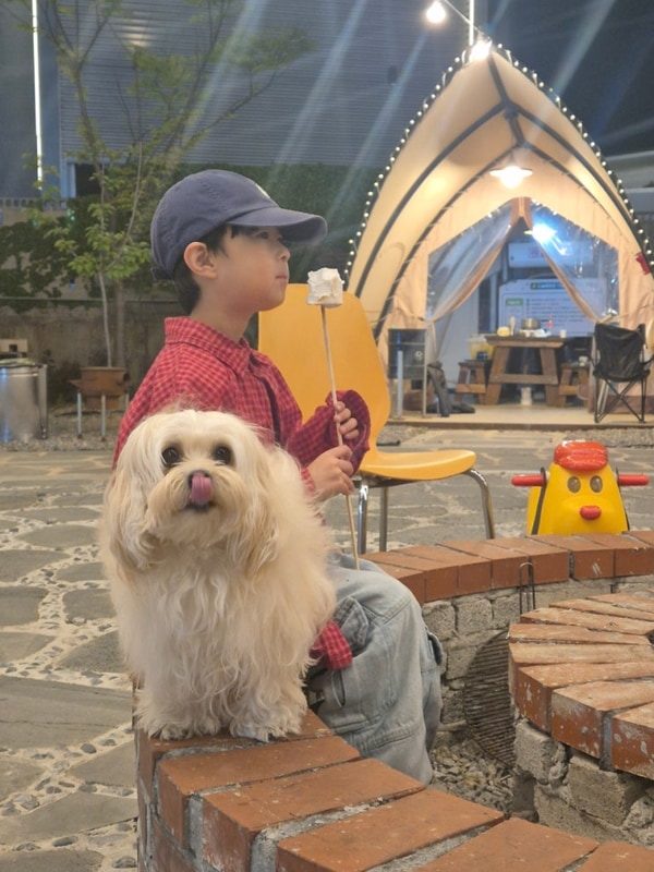 천안 신부동 고깃집 도솔캠핑앤그릴 아이랑 가볼 만한 애견...