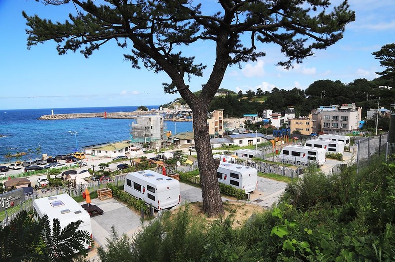 장호비치캠핑장 시설 사진 19