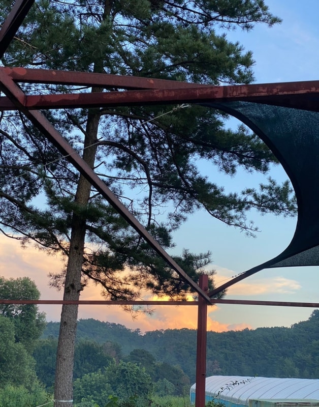 [포천]아이랑 포천자연마을 서울캠핑장