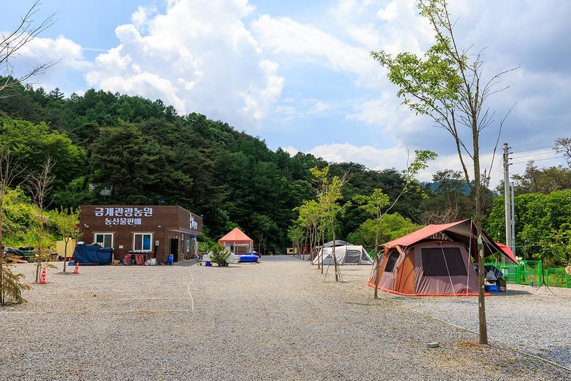 금계관광농원 시설 사진 3