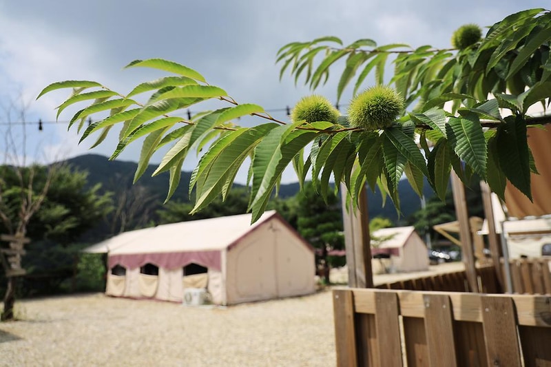 풀무골 글램핑장 시설 사진 16