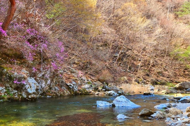 또바기캠핑장 시설 사진 10
