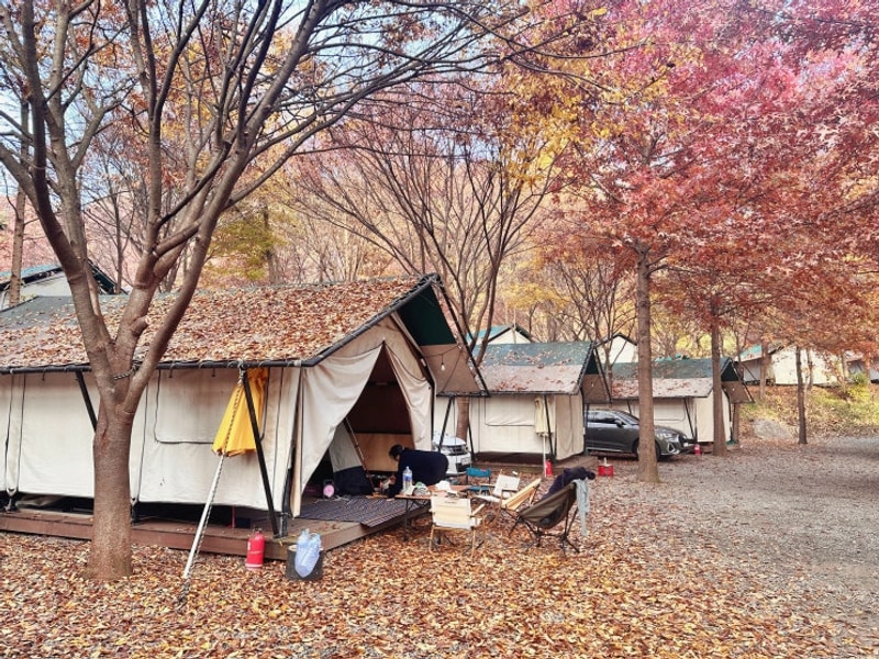 오기전에 다녀온 가을나들이 기록(단풍길, 가평 둥지캠핑장)