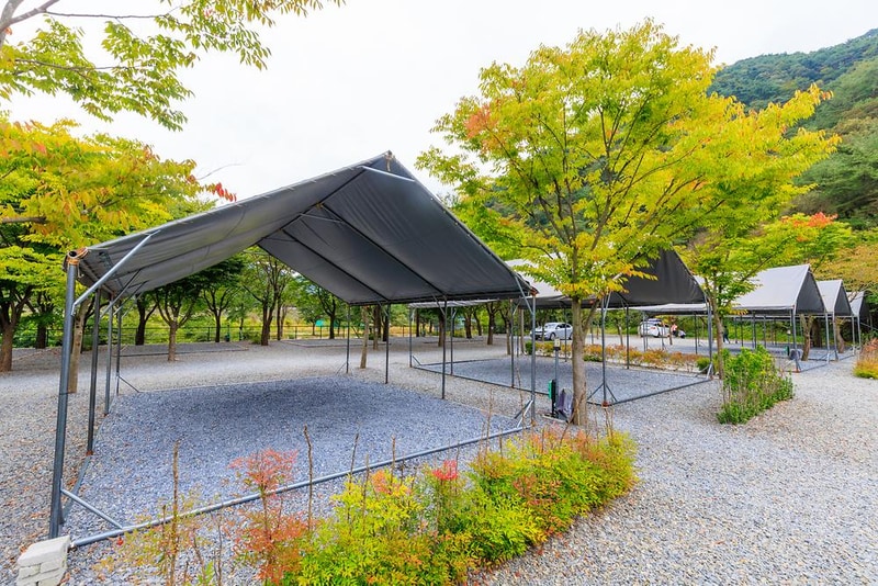 솔내음캠핑장 시설 사진 19