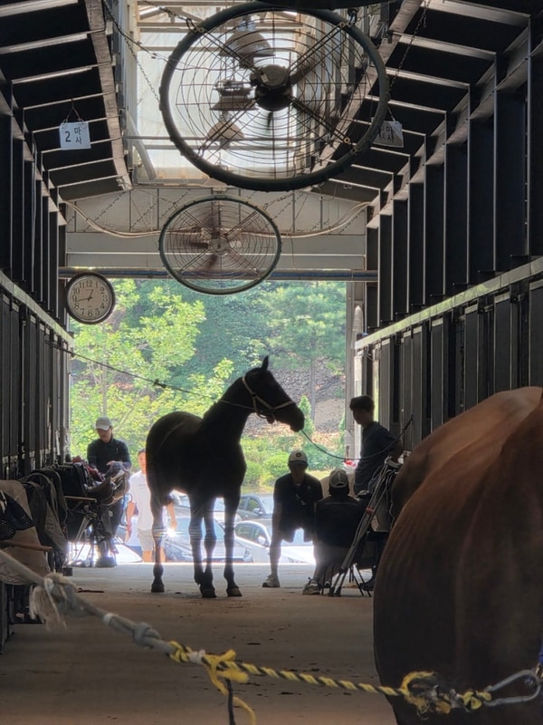 의정부ic 근방 힐링존 '파크프리베 & 서울승마힐링캠프'