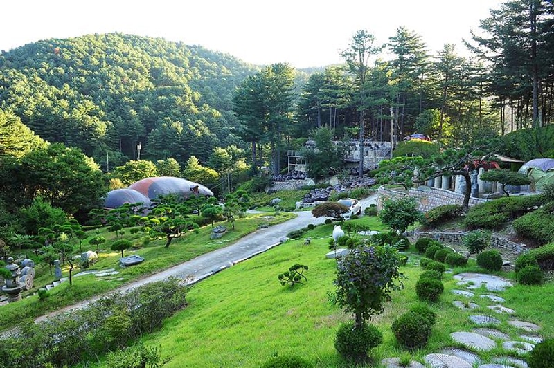 수목원프로방스 캠핑장 대표 사진