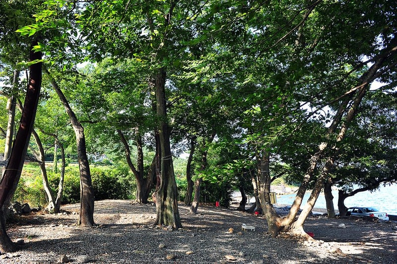 초전마을 캠핑장 시설 사진 4