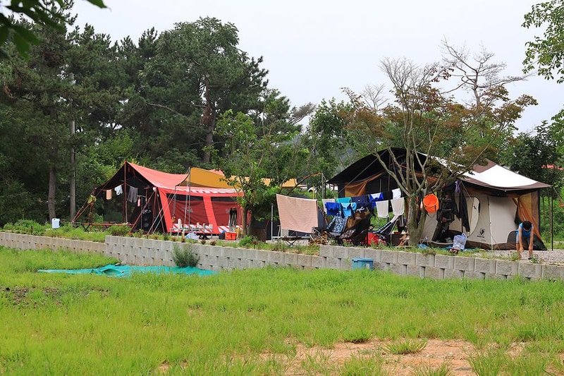 대부도 아라뜰 캠핑장 시설 사진 18