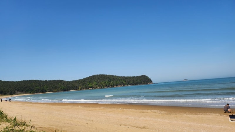 [태안캠핑장] 갯벌체험 구례포 해수욕장 근처 태안라온캠핑장