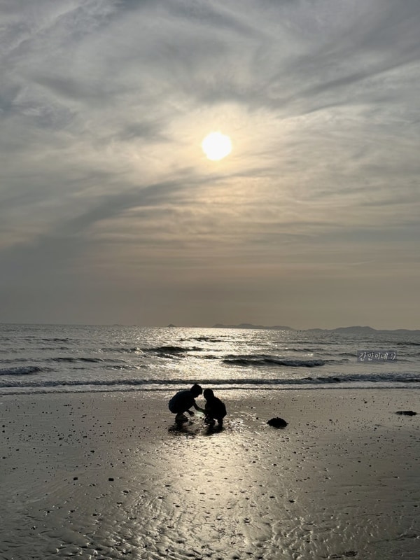 태안 마검포힐링캠핑장 3구역 사이트 서해 갯벌체험 키즈캠핑...