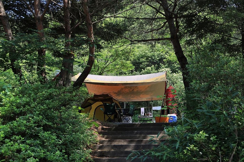 월드니스 시설 사진 6