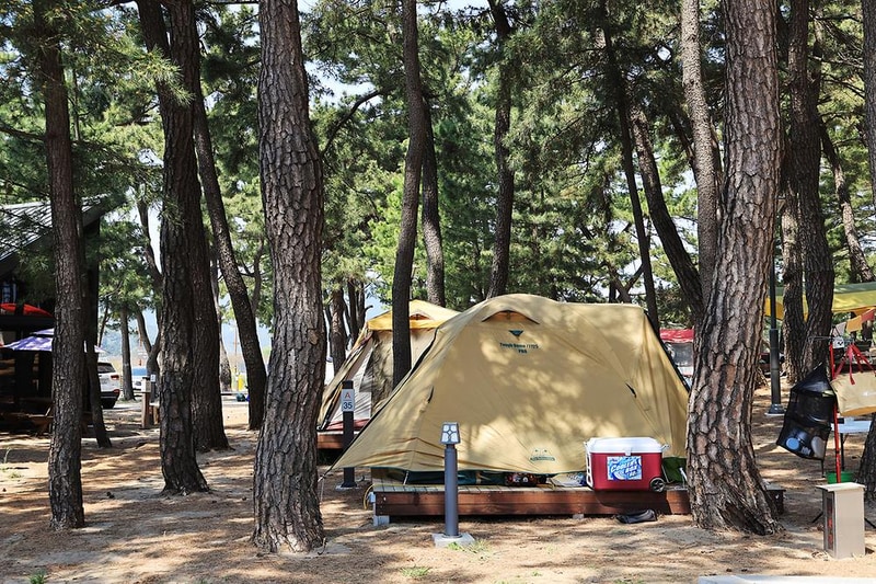 맹방 비치캠핑장 시설 사진 14