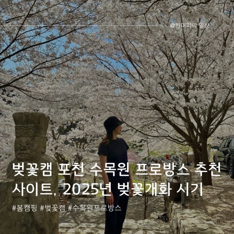 봄 캠핑 / 벚꽃캠 포천 수목원 프로방스 추천 사이트, 2025년...