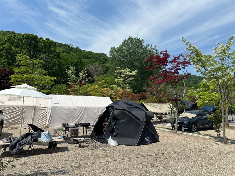 파주캠핑장 서울근교 율곡캠핑장 명당 추천