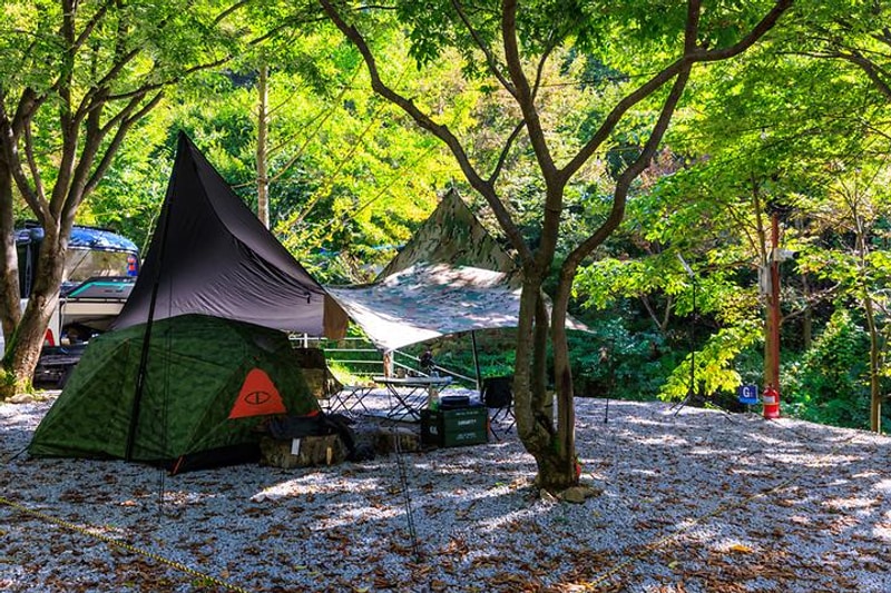 옥당걸숲속관광농원 대표 사진