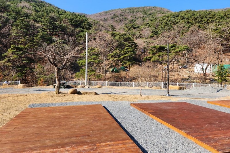 별품은 숲속 캠핑장 시설 사진 5