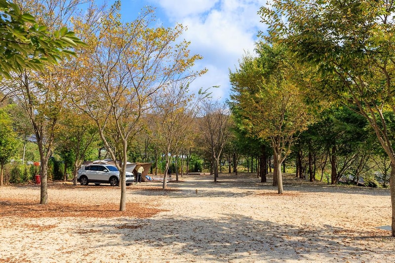 금산 자연 오토캠핑장 시설 사진 25
