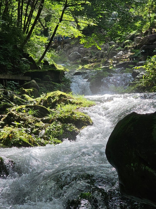 정선계곡펜션 여름 가족여행으로 정선도원펜션&캠핑장에서의...