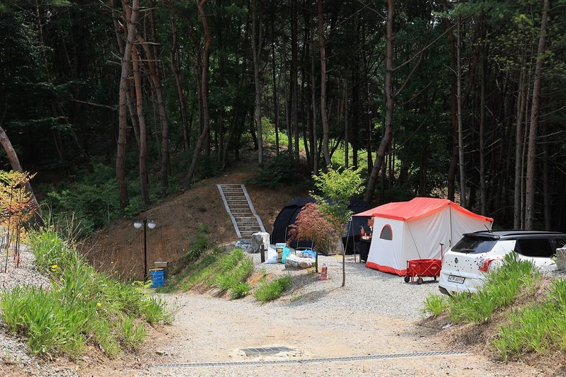푸르른 캠핑장 시설 사진 9
