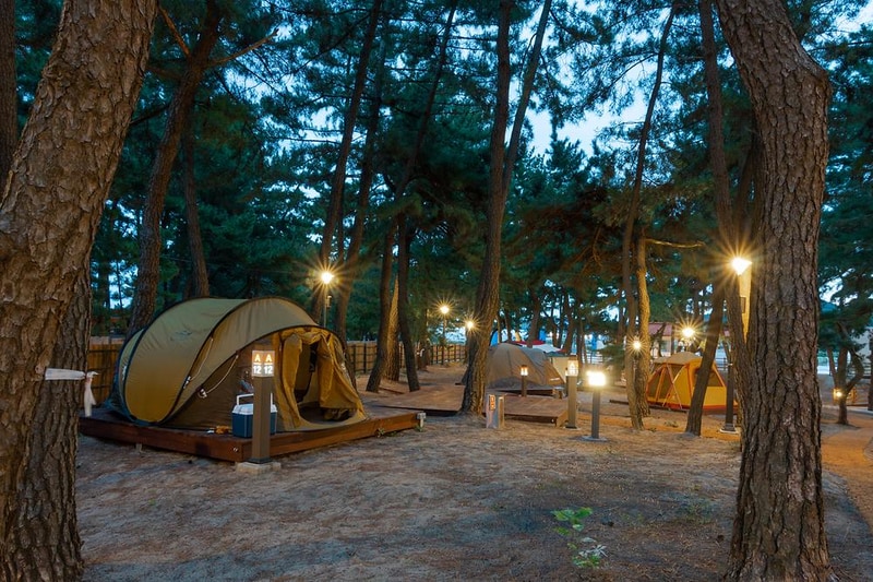 맹방 비치캠핑장 시설 사진 30