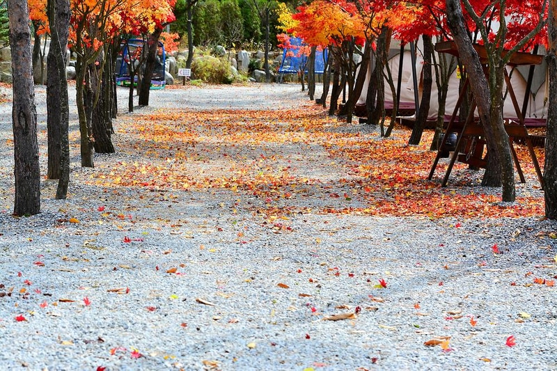 리즈밸리 시설 사진 12