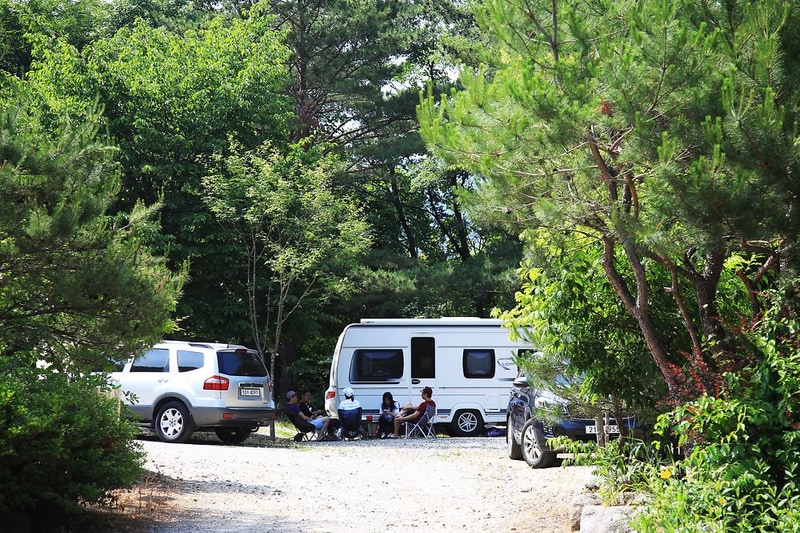 용골송어와 캠핑 시설 사진 17